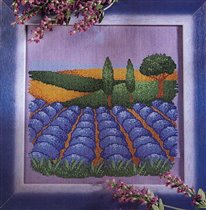 76. profilo lavender fields 02