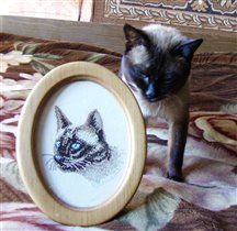 мой питомец