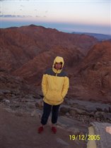 'Полярник' в Синайских горах