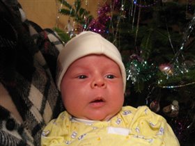 Мужик и елка