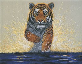067. Бегущий по воде тигр