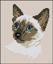 JCD-#170-Cattitudes-The First Litter - Siamese Cat