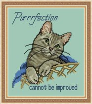 JCD-#178-Cattitudes-The Sixth Litter-Purrfection