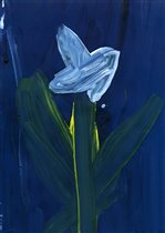 Ночная фиалка