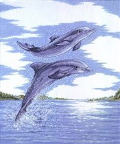 Dolphins Wildlife Cross Stitch