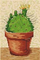 kaktus 3.1