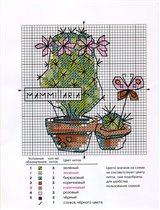 Mammillaria_chart