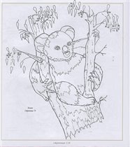 коала схема