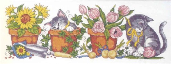 котята и цветы