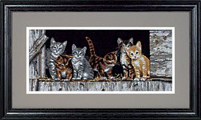 35133 barbtard kitties