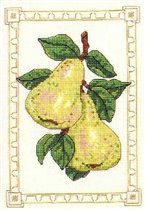 16631 pair pears 