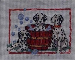 16636 indelible sports