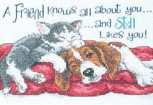 16725 a friends knows