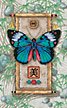20006 butterfly on scroll