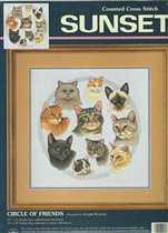 13628 circle of friends