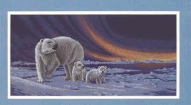 13648 polar bear - cubs