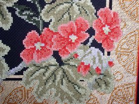 Фрагмент цветочков герани