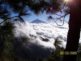 Teide