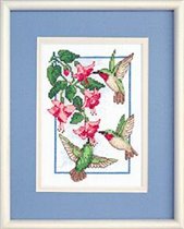 6642 hummingbirds fuchsia
