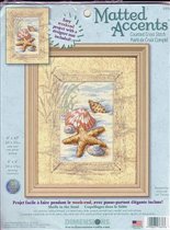 6956 shells in the sand