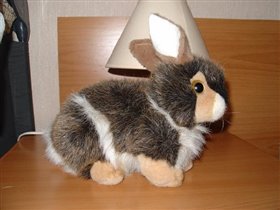 Тимка(подарок Сергеевых!)