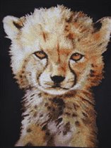 Baby Cheetach -Kustom Krafts