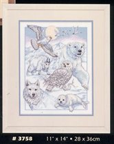 3758 northamerican beauties