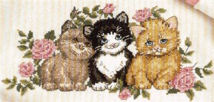 3848 kitten trio on waste canvas