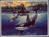 2469 orca cove