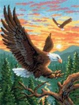 2494 landing eagle