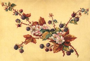 42253  Blackberries and Blossoms (Ежевика) 