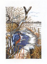 14060  Kingfisher in Winter