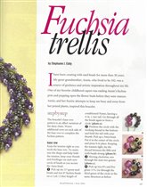 Fuchsia Bracelet 2