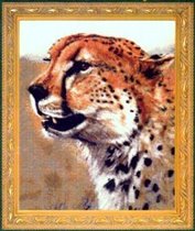 KK-Cheetah  JW-010