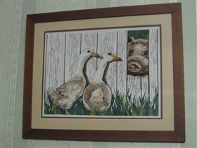 Geese and Piggy, OOE