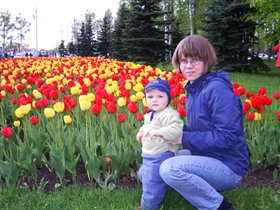 Тюльпаны в Парке Победы.