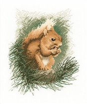 PM4-JSRS295_Red Squirrel