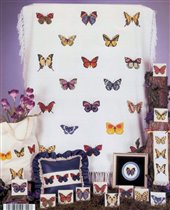 Butterfly Collection BC