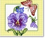 Pansy with butterfly