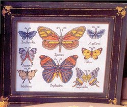 Butterfly Collection 3