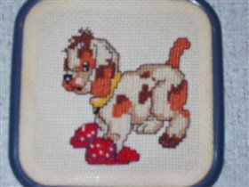 Собак в тапках