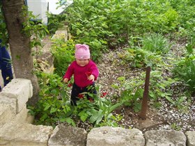 сбор урожая)))