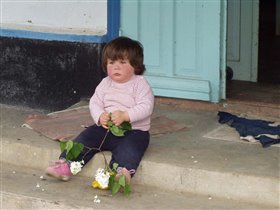 задумчивая Мыша