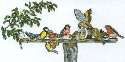14076 Birds on Bird Table