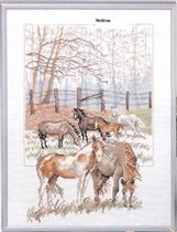 OOE 84.210 In the Paddock