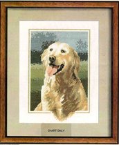 Heritage Golden Retriever
