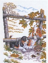 E Rosenstand Dogs & Hedgehog