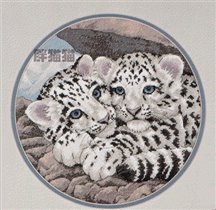 DIM Snow Leopard Cubs