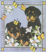 Couchman Garden Pups