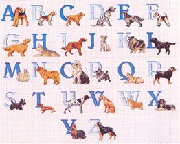 Canine Alphabet